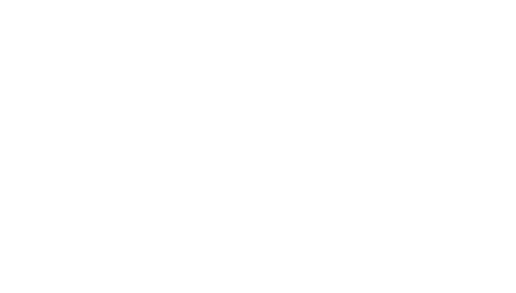 logo hans blanco